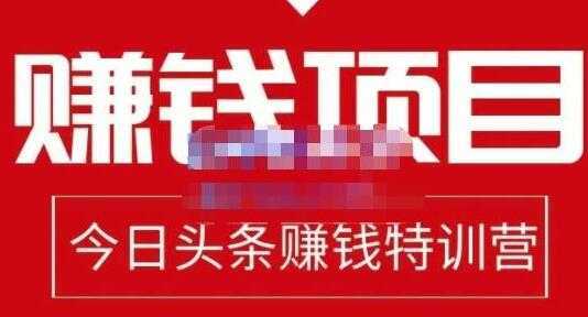 懒人领域《今日头条中视频项目玩法》单号收益在50—500可批量-玻哥网络技术工作室