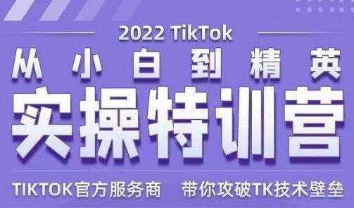 Seven漆《Tiktok从小白到精英实操特训营》带你掌握Tiktok账号运营-玻哥网络技术工作室