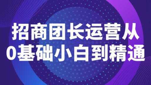 《招商团长运营》从0基础小白到精通-玻哥网络技术工作室