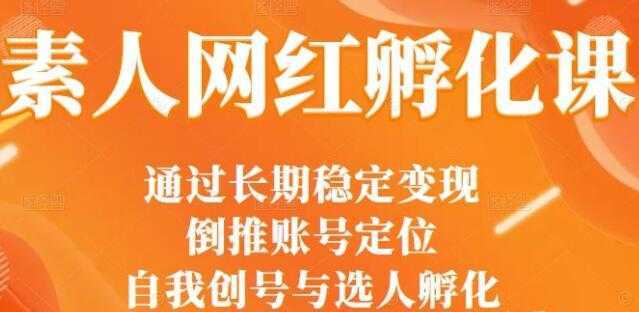 马大个《素人网红孵化课》通过长期稳定变现，自我创号与选人孵化-玻哥网络技术工作室