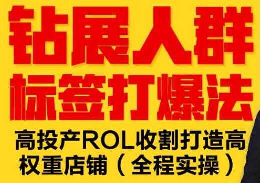 逐鹿《淘宝钻展人群标签打爆法》高投产ROL收割打造高权重店铺(全程实操)-玻哥网络技术工作室