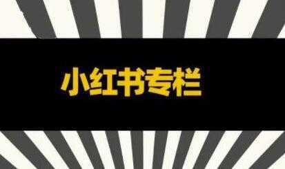 品牌医生《小红书全链营销干货》5个起盘案例，营销策略规划，避坑指南-玻哥网络技术工作室