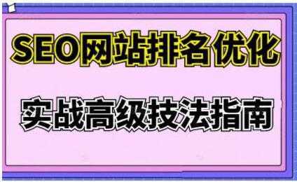 樊天华《SEO网站排名优化》实战高级技法指南-玻哥网络技术工作室