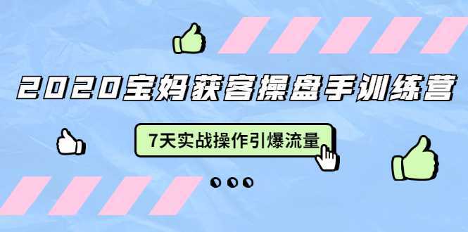 2020宝妈获客操盘手训练营：7天实战操作引爆 母婴、都市、购物宝妈流量-玻哥网络技术工作室