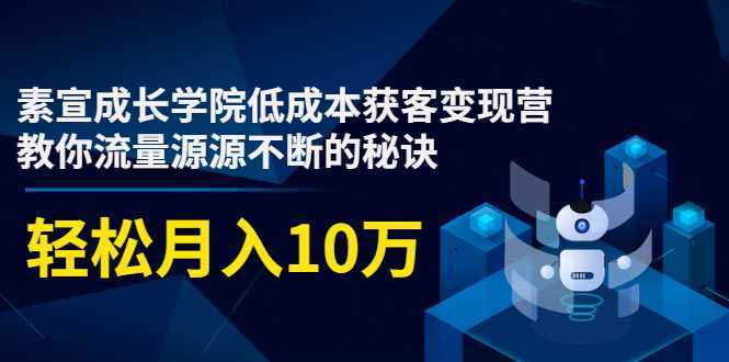 素宣成长学院低成本获客变现营，教你流量源源不断的秘诀，轻松月入10万-玻哥网络技术工作室