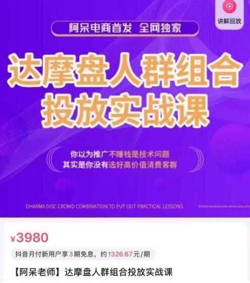 阿呆电商·达摩盘人群组合投放实战课，你以为推广不赚钱是技术问题，其实是你没有选好高价值消费客群-玻哥网络技术工作室