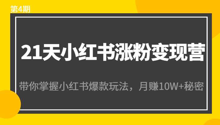 21天小红书涨粉变现营（第4期）：带你掌握小红书爆款玩法，月赚10W+秘密-玻哥网络技术工作室