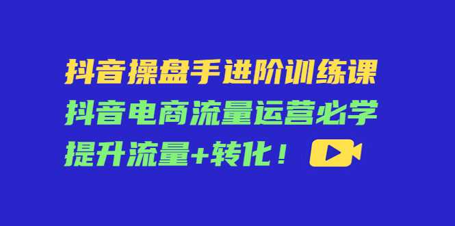 抖音操盘手进阶训练课：抖音电商流量运营必学，提升流量+转化-玻哥网络技术工作室