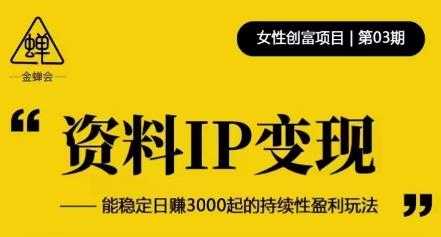 资料IP变现，能稳定日赚3000起的持续性盈利玩法-玻哥网络技术工作室