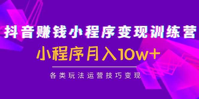 抖音赚钱小程序变现训练营：小程序月入10w+各类玩法运营技巧变现-玻哥网络技术工作室