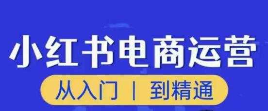 顽石小红书电商高阶运营课程，从入门到精通，玩法流程持续更新-玻哥网络技术工作室