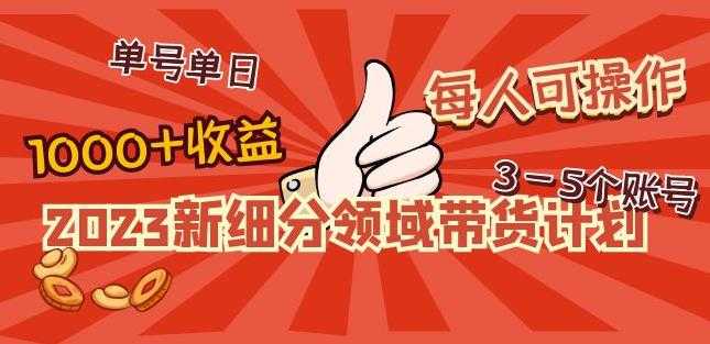 2023新细分领域带货计划：单号单日1000+收益不难，每人可操作3-5个账号-玻哥网络技术工作室