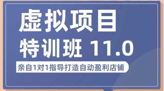 陆明明·虚拟项目特训班（10.0+11.0），0成本获取虚拟素材，0基础打造自动盈利店铺-玻哥网络技术工作室