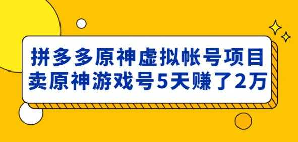 外面卖2980的拼多多原神虚拟帐号项目：卖原神游戏号5天赚了2万-玻哥网络技术工作室