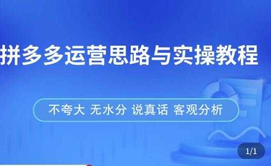 拼多多店铺运营思路与实操教程，快速学会拼多多开店和运营，少踩坑，多盈利-玻哥网络技术工作室