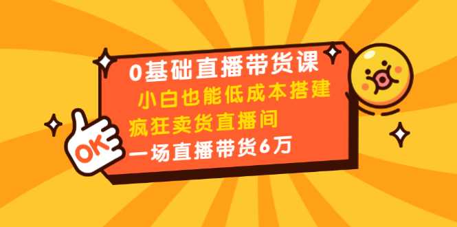 0基础直播带货课：小白也能低成本搭建疯狂卖货直播间：1场直播带货6万-玻哥网络技术工作室