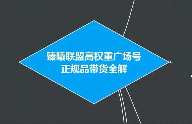 臻曦联盟抖音高权重广场号无人直播正规品带货全解-玻哥网络技术工作室