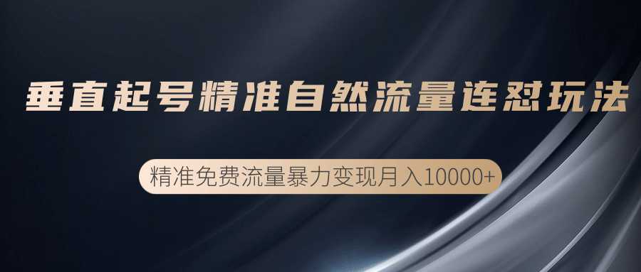 垂直起号精准自然流量连爆玩法，精准引流暴力变现月入10000+-玻哥网络技术工作室