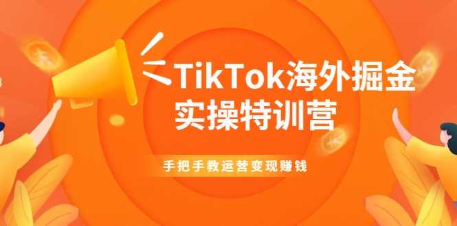 TikTok海外掘金实操特训营：手把手教运营变现赚钱-玻哥网络技术工作室