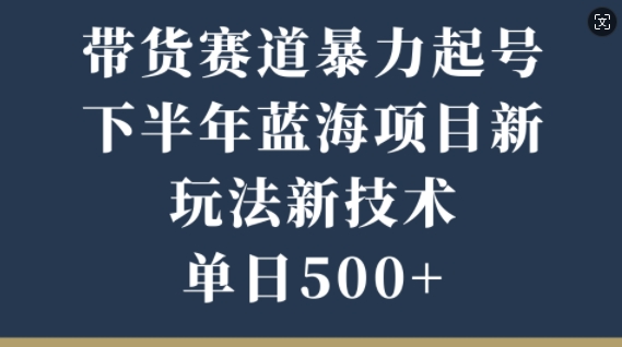 带货赛道暴力起号，下半年蓝海项目，新玩法新技术，单日500+-玻哥网络技术工作室