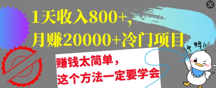 1天收入8张，月赚2w+冷门项目，赚钱太简单，这个方法一定要学会【干货】-玻哥网络技术工作室