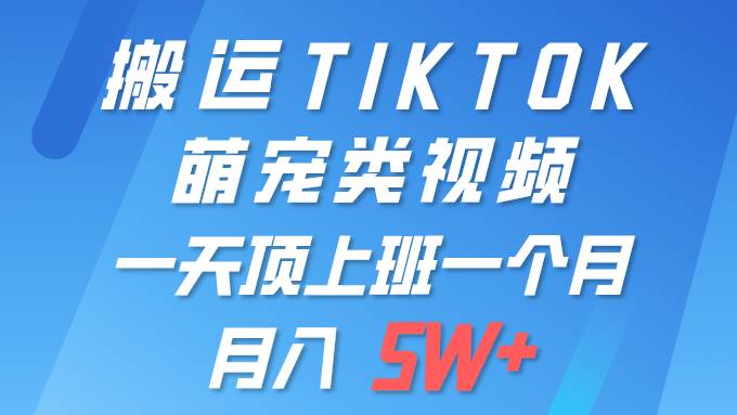 一键搬运TIKTOK萌宠类视频 一部手机即可操作 所有平台均可发布 轻松月入5W+-玻哥网络技术工作室