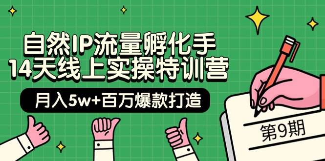 自然IP流量孵化手 14天线上实操特训营【第9期】月入5w+百万爆款打造 (74节)-玻哥网络技术工作室