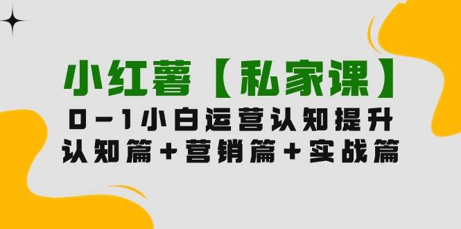 小红薯【私家课】0-1玩赚小红书内容营销，认知篇+营销篇+实战篇（11节课）-玻哥网络技术工作室