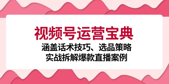 视频号运营宝典：涵盖话术技巧、选品策略、实战拆解爆款直播案例-玻哥网络技术工作室