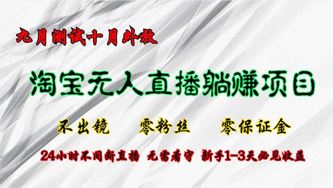 （12862期）淘宝无人直播最新玩法，九月测试十月外放，不出镜零粉丝零保证金，24小…-玻哥网络技术工作室