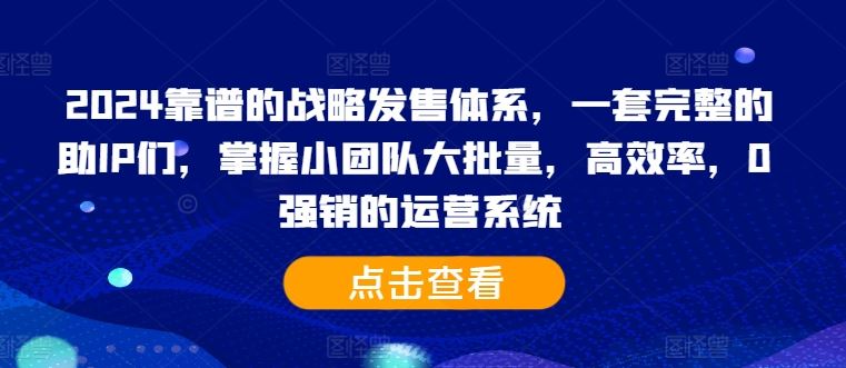 2024靠谱的战略发售体系，一套完整的助IP们，掌握小团队大批量，高效率，0 强销的运营系统-玻哥网络技术工作室