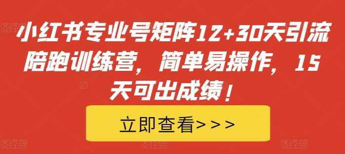 小红书专业号矩阵12+30天引流陪跑训练营，简单易操作，15天可出成绩!-玻哥网络技术工作室