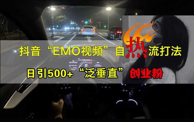 抖音EMO视频自热打法，日引500+“泛垂直”创业粉-玻哥网络技术工作室