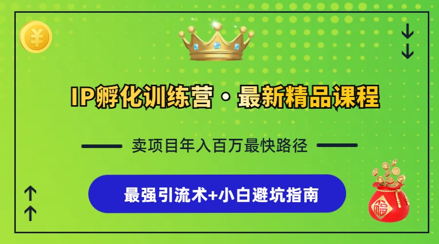 （13055期）IP孵化训练营，知识付费全流程+最强引流术+小白避坑指南-玻哥网络技术工作室