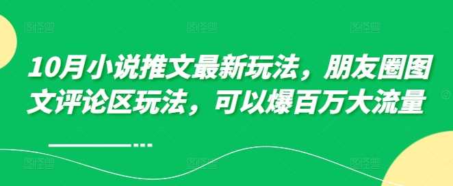 10月小说推文最新玩法，朋友圈图文评论区玩法，可以爆百万大流量-玻哥网络技术工作室