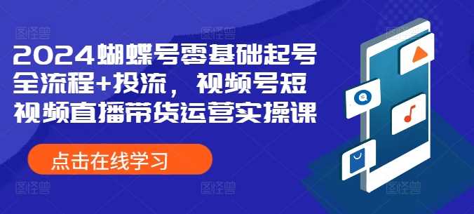 2024蝴蝶号零基础起号全流程+投流，视频号短视频直播带货运营实操课-玻哥网络技术工作室