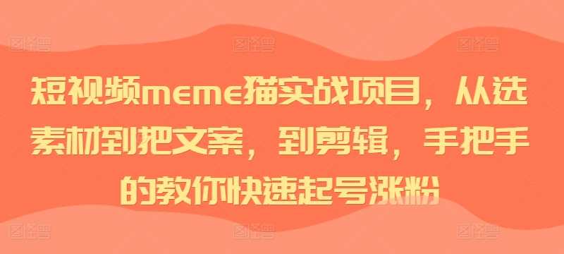 短视频meme猫实战项目，从选素材到把文案，到剪辑，手把手的教你快速起号涨粉-玻哥网络技术工作室