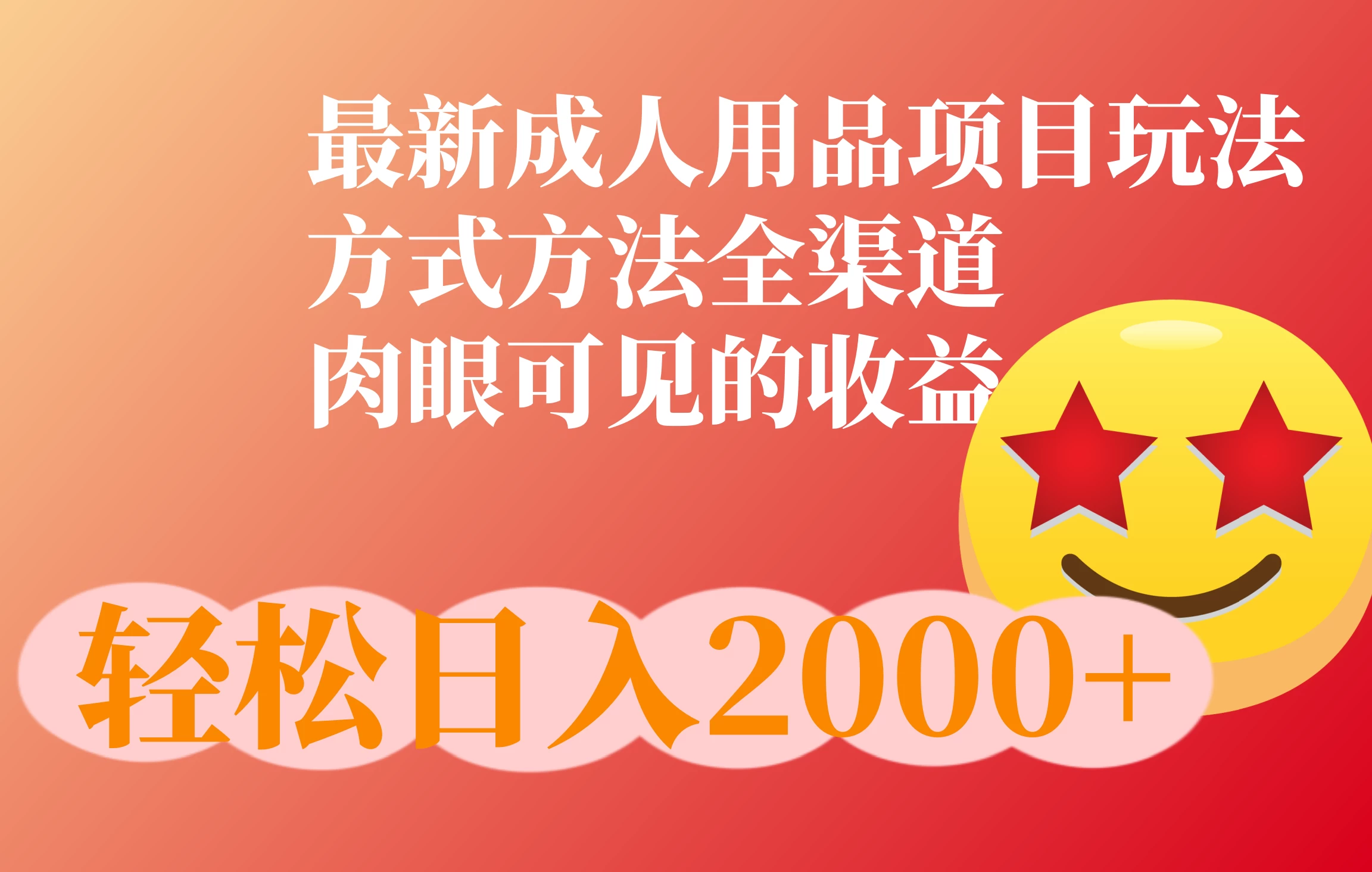 成人用品项目最新玩法，行业异常火爆，方式方法全渠道-玻哥网络技术工作室