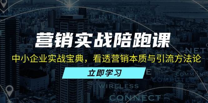 （13146期）营销实战陪跑课：中小企业实战宝典，看透营销本质与引流方法论-玻哥网络技术工作室