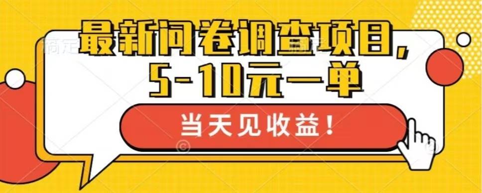 （13167期）最新问卷调查项目，单日零撸100＋-玻哥网络技术工作室