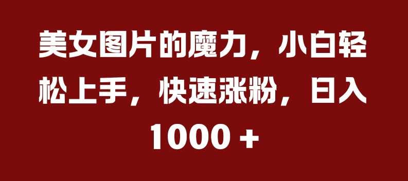 美女图片的魔力，小白轻松上手，快速涨粉，日入几张【揭秘】-玻哥网络技术工作室