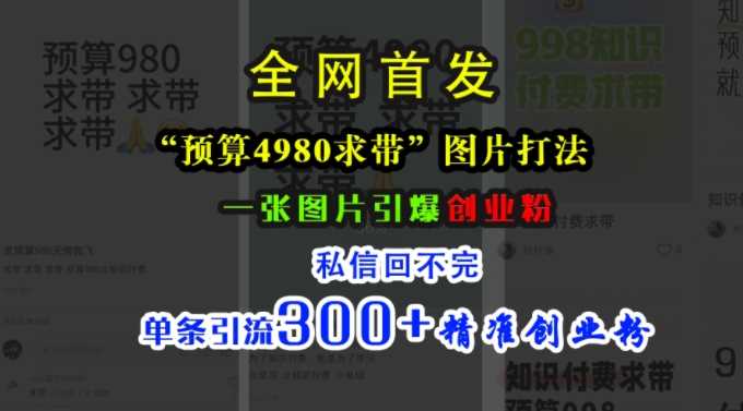 小红书“预算4980带我飞”图片打法，一张图片引爆创业粉，私信回不完，单条引流300+精准创业粉-玻哥网络技术工作室