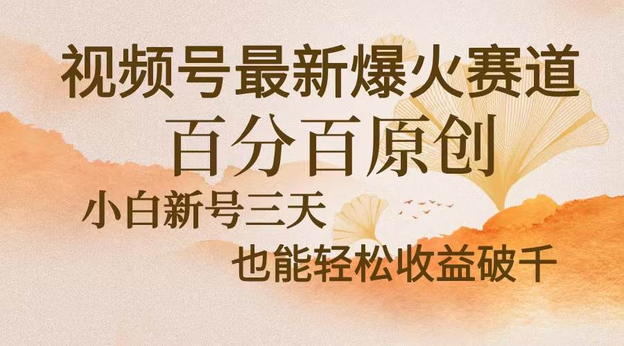 （13225期）视频号最新爆火赛道，中老年粉深信不疑，百分百原创，新号三天收益轻松…-玻哥网络技术工作室