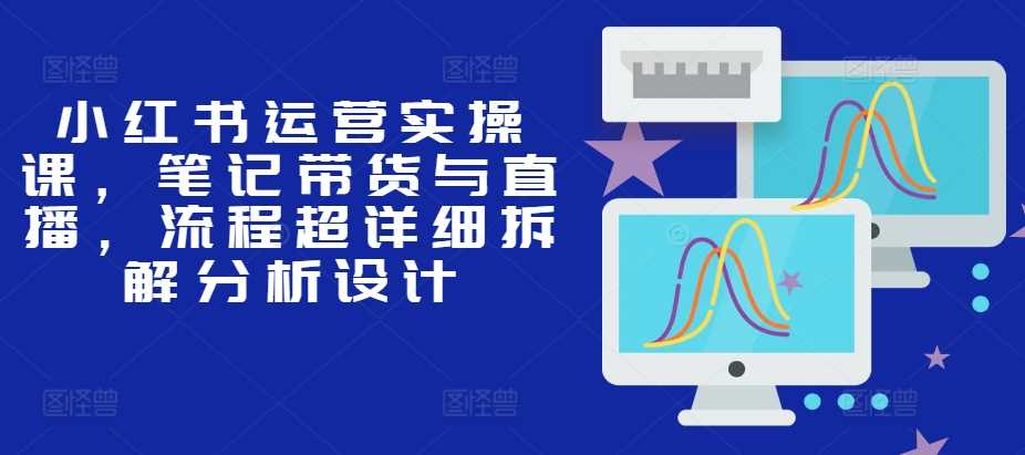 小红书运营实操课，笔记带货与直播，流程超详细拆解分析设计-玻哥网络技术工作室