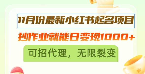 （13256期）11月份最新小红书起名项目，抄作业就能日变现1000+，可招代理，无限裂变-玻哥网络技术工作室