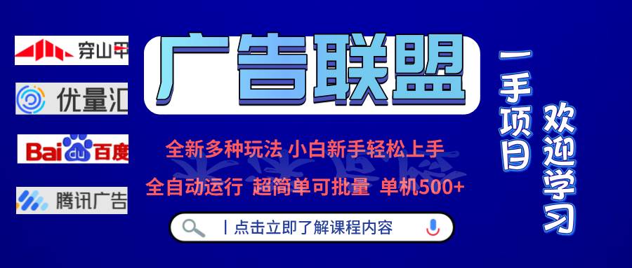 （13258期）广告联盟 全新多种玩法 单机500+  全自动运行  可批量运行-玻哥网络技术工作室