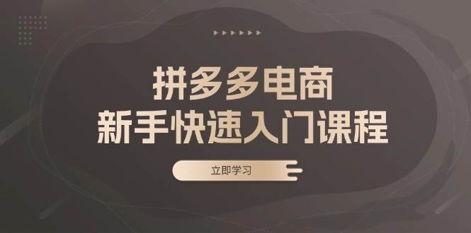 （13289期）拼多多电商新手快速入门课程：涵盖基础、实战与选款，助力小白轻松上手-玻哥网络技术工作室