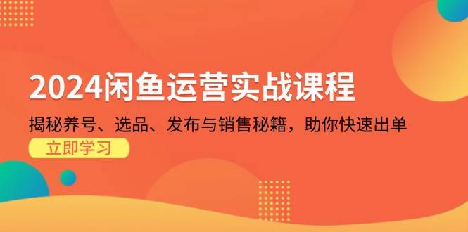 （13290期）2024闲鱼运营实战课程：揭秘养号、选品、发布与销售秘籍，助你快速出单-玻哥网络技术工作室