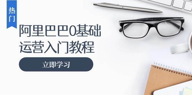 （13291期）阿里巴巴运营零基础入门教程：涵盖开店、运营、推广，快速成为电商高手-玻哥网络技术工作室