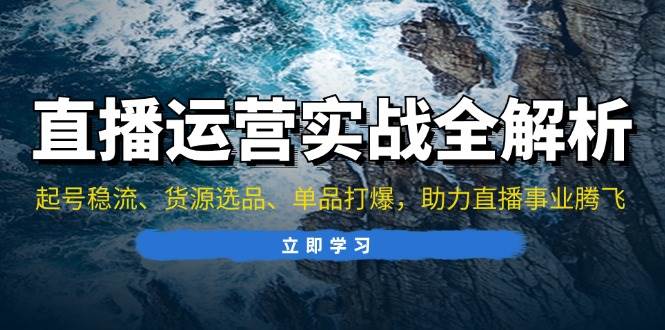 （13294期）直播运营实战全解析：起号稳流、货源选品、单品打爆，助力直播事业腾飞-玻哥网络技术工作室